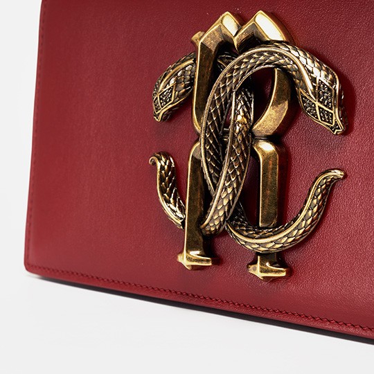 Clasp Side View