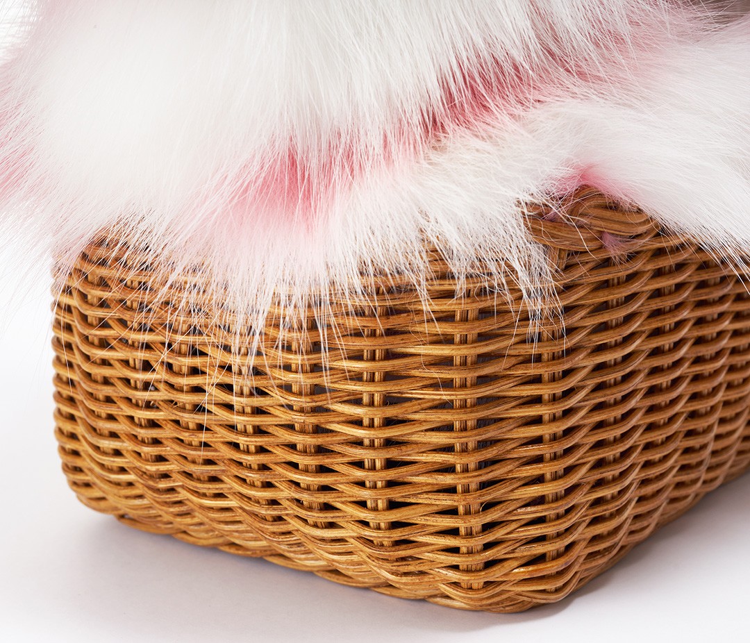 Miu Miu bag worn