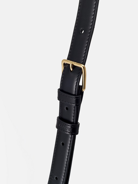 CELINE Triomphe bag shoulder carry