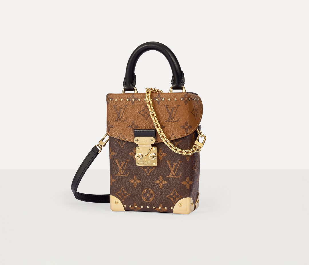 LV Camera Box Bag Details