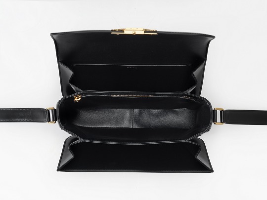 CELINE Triomphe bag with contents