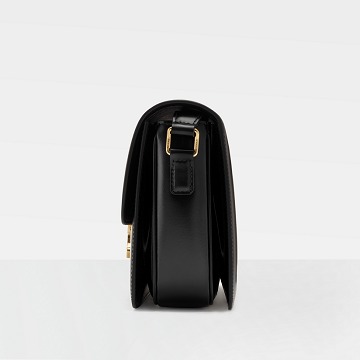 CELINE TRIOMPHE bag detail 2