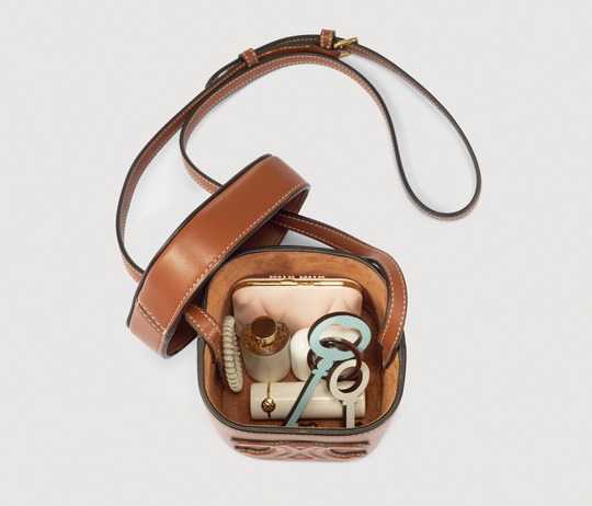 Celine bag capacity