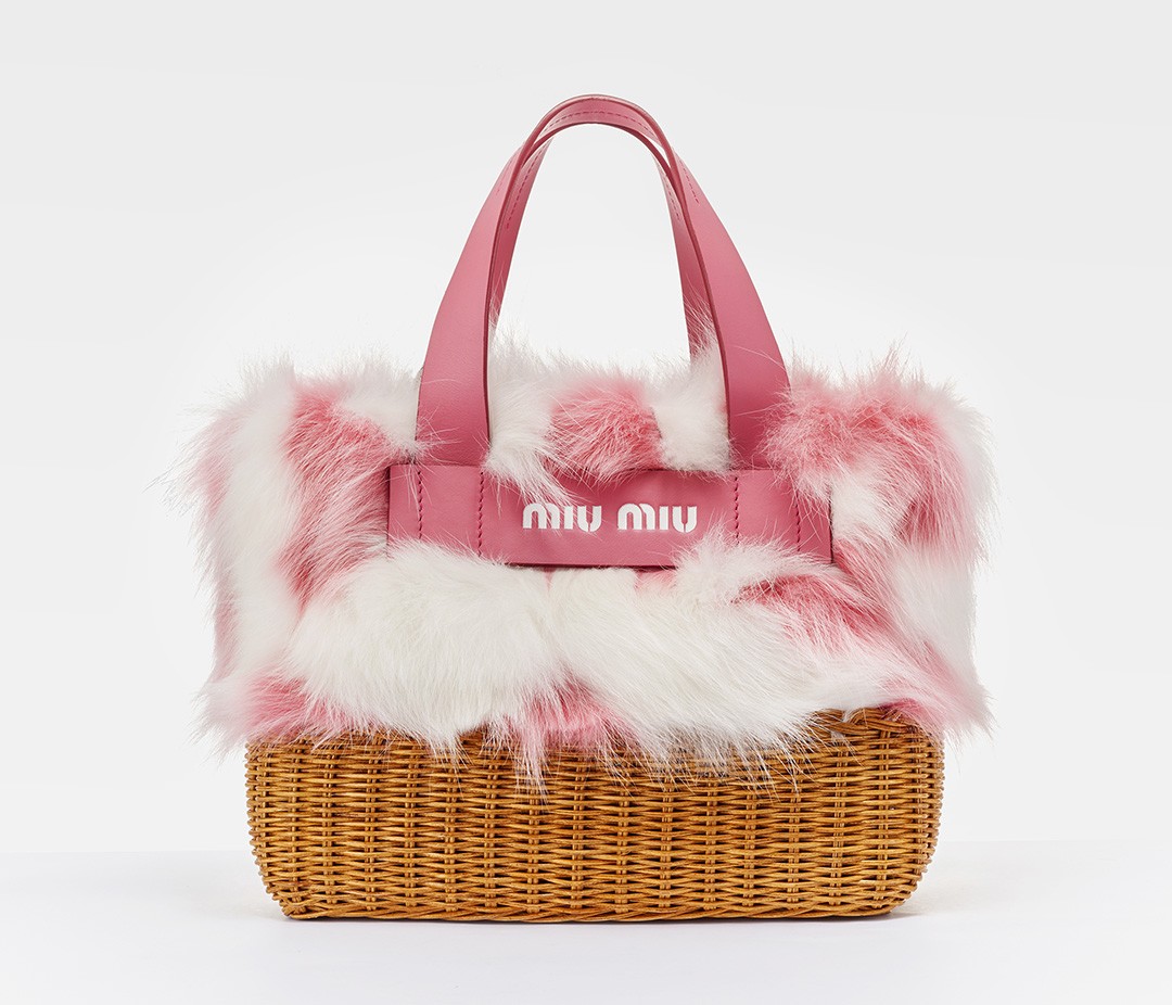 Miu Miu Picnic Bag full view