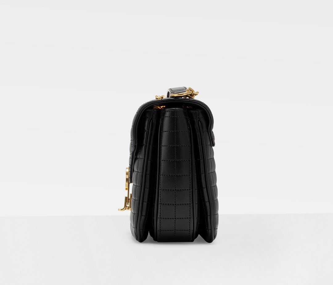 CELINE C Bag Detail