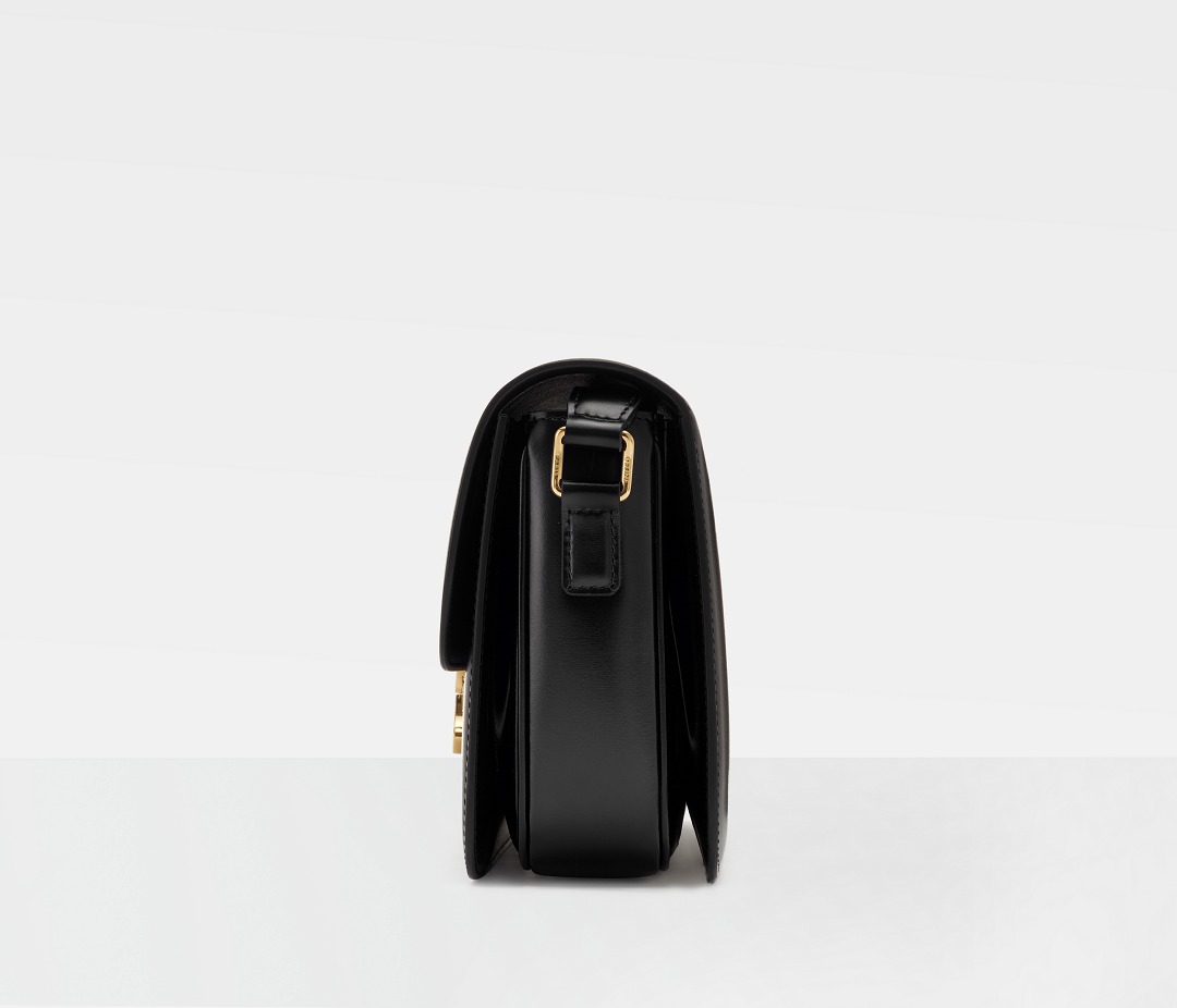 CELINE TRIOMPHE bag detail