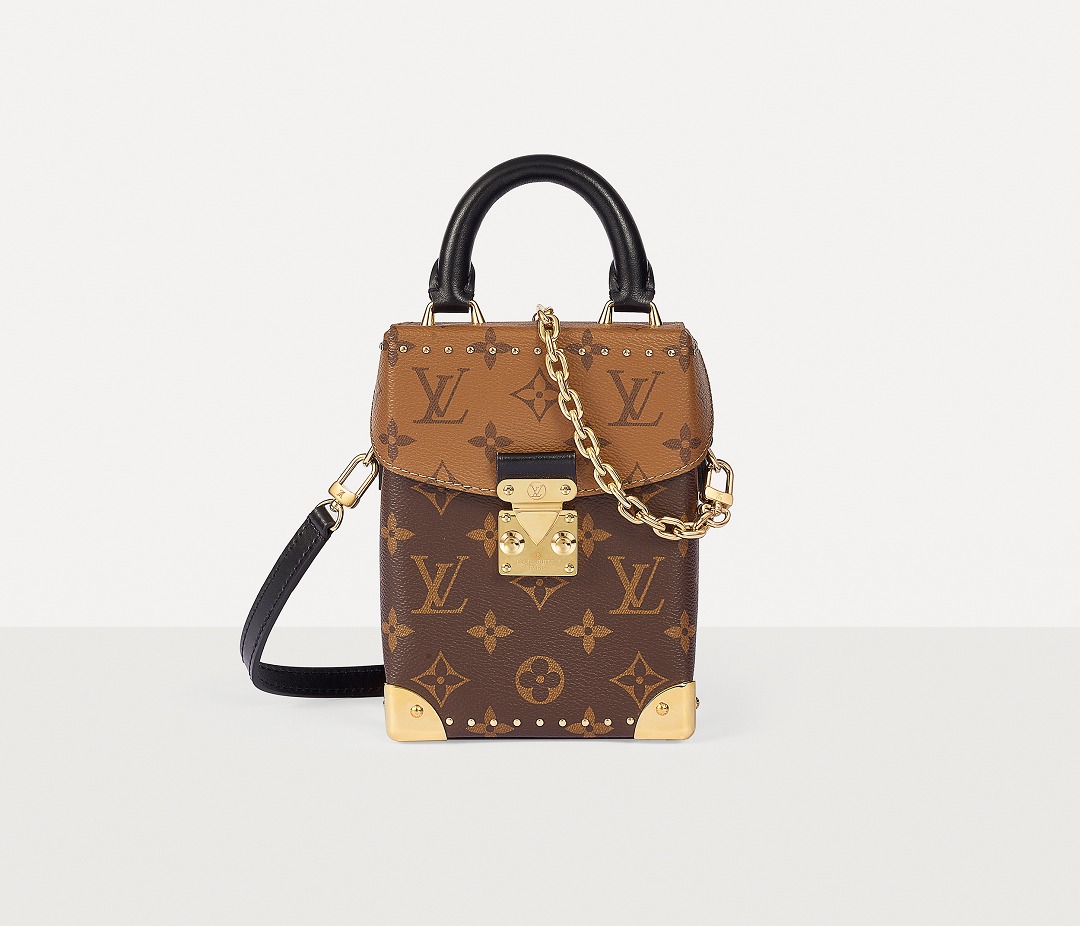 Louis Vuitton Camera Box Bag