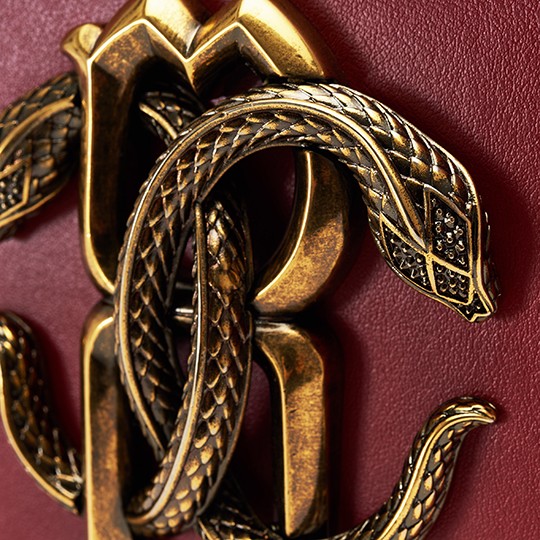 Clasp Close-up