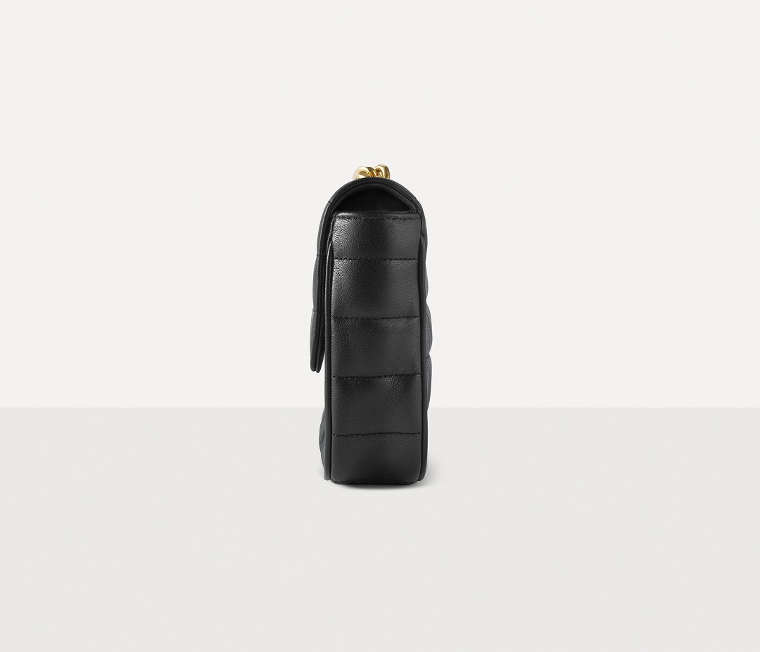 CELINE Bag Side View