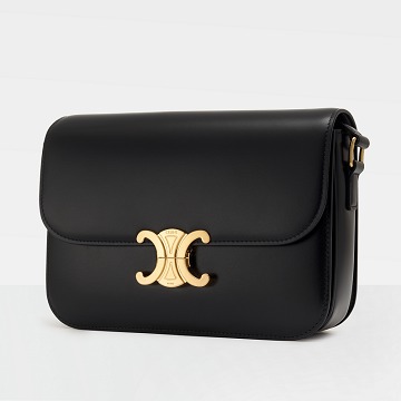 CELINE TRIOMPHE bag detail 1